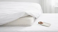 Bettwanzen erkennen: typische Anzeichen am Bett und was du sofort tun solltest